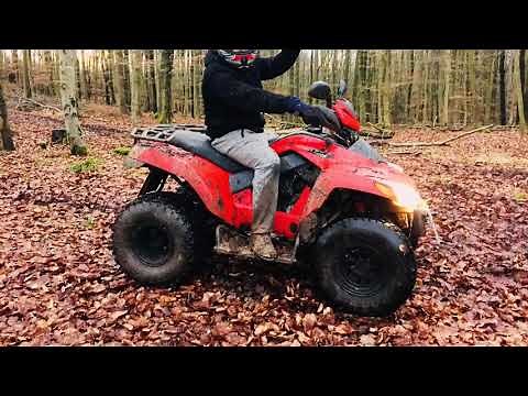 Quad SYM 250