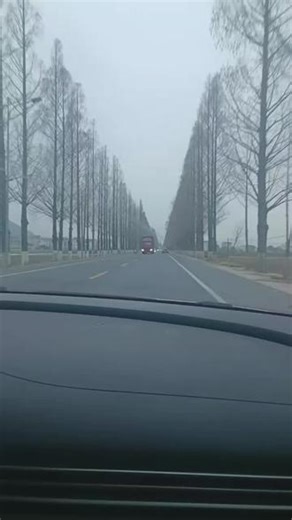 人人都在用，我也来个看看怎么个事#日常vlog