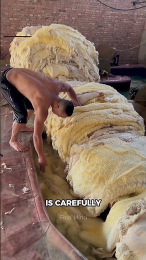 From Raw Sheepskin to a Cozy Wool Blanket – The Process Will Surprise You!