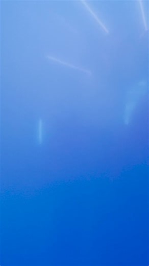 100 Balloons Race Surprise with Max Verstappen and Team