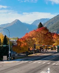 The fall color season is in full swing! Although the colors have come a bit later than traditionally, they are still as stunning as ever! See our live webcams at leavenworth.org/webcams . . . #visitleavenworth #leavenworthwa #leavenworth #fall #washingtonstate #pnwonderland #travel #nature #mountains #adventure #pacificnorthwest #bavarianvillage #roadtrip #cascademountains #bavaria #cascades | Visit Leavenworth WA