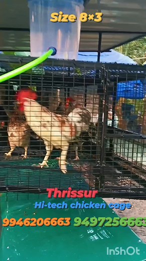598 reactions · 20 shares | Hen cage making #keralahitech #viral #viralvideos #reelsinstagram | Rebin Robinhood | Facebook
