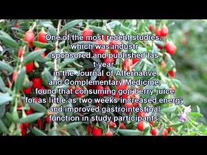How to cook the berries goji