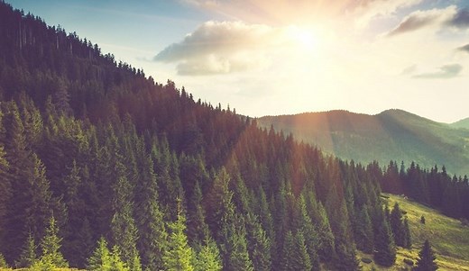 Evergreen Content: Why It's Key to Marketing Strategy