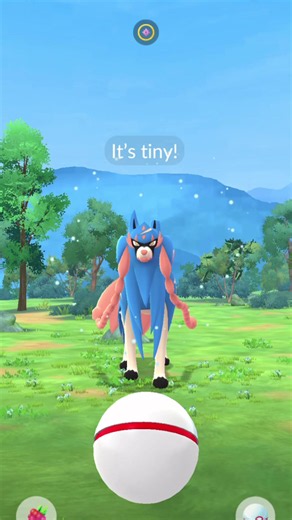 Rarer than a shiny! #pokemongo #pokemon #zacian #pokemongoraid | Pokémon GO