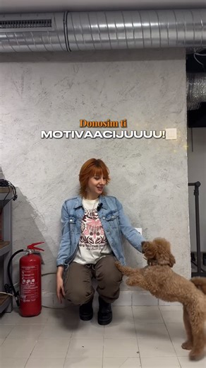 workshop montenegro | 🔍 PRONAĐI SVOJ HOBI! 🚀 U decembru otvaramo vrata i2 Makerspace-a i pripremili smo tri praktične radionice: obrada drveta, obrada metala i... | Instagram