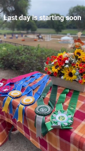 14 reactions | NA Stallion Sport Test on Reels | Facebook