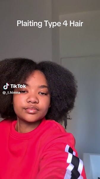 Plaiting Type 4 Hair - Step-by-Step Tutorial and Styling Ideas