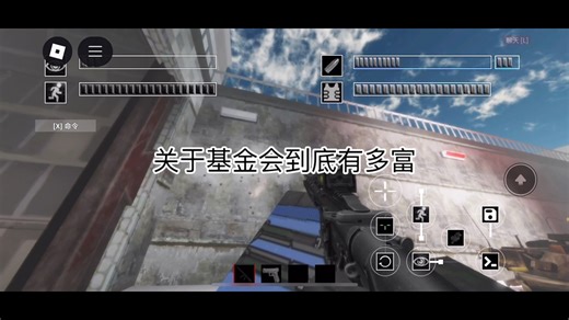 关于基金会有多富