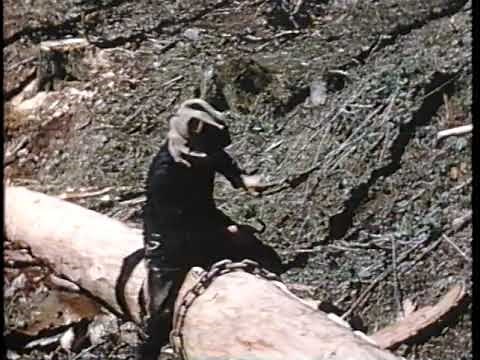 Eicher Traktoren: Im Märzen der Bauer...Arbeitsjahr 1957