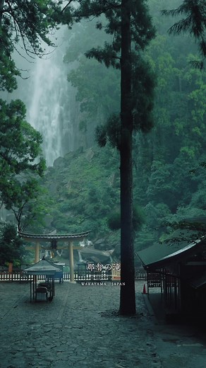 📍那智の滝【和歌山】 Nachi falls - Wakayama 水柱の高さ133mと、日本一の高さを誇る和歌山の名所。 Nachi Waterfall is the tallest single-drop waterfall in Japan. Its waters plunge in a stream that is 13 meters wide at the top to a basin 133 meters below. ______________ #Japan #japantravel #japantrip #torii #japanese #visitjapan #traveljapan #和歌山#那智勝浦 #那智の滝 #飛瀧神社