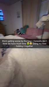 47K views · 260 reactions |  | Colleen Miller | Facebook