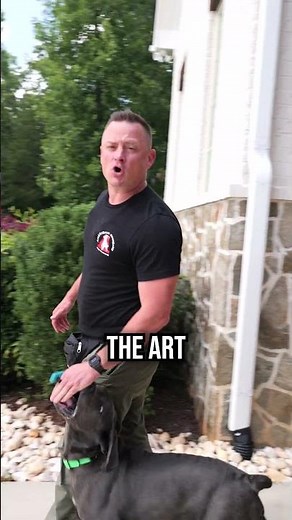 Teach Your Dog Anything with Free Shaping!