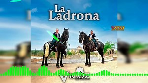 La Ladrona - Veloz de la Sierra | JCM Videos Musicales