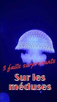 3 faits surprenants Les méduses