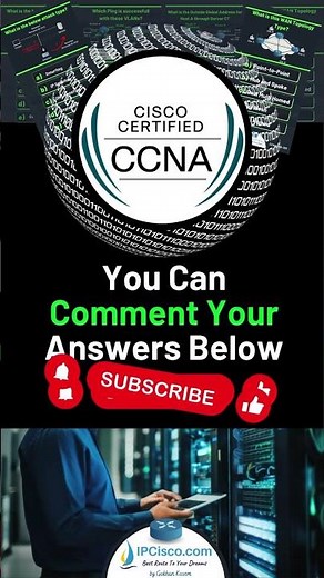 Cisco CCNA Questions!!!