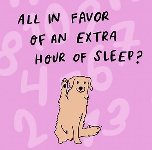 19 reactions | We never say no to an extra hour of sleep!  Don't forget to push back your clocks today for daylight savings! ⏰ Will you be using that extra hour to catch up on sleep, or get an earlier start to your day? Click here for tips to help you adjust your sleep during daylight savings time  ⁠https://relaxmelodies.page.link/daylightsfb @zippypaws | BetterSleep | Facebook