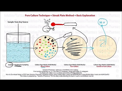 Microbiology 22= Pure Culture Technique | Streak Plate Method Techniques | Pure Culture Method