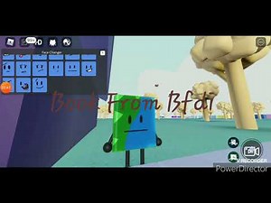 Book From Bfdi U.S.A. Intro