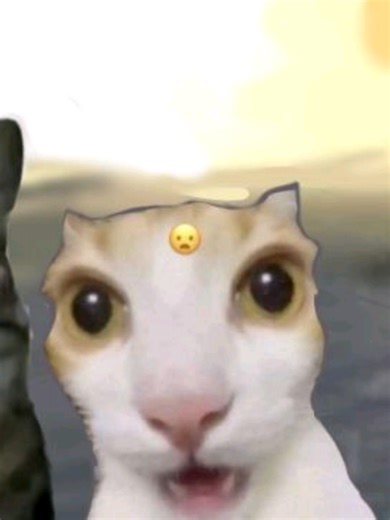 Mis Fits en Roblox: Combina Tu Estilo