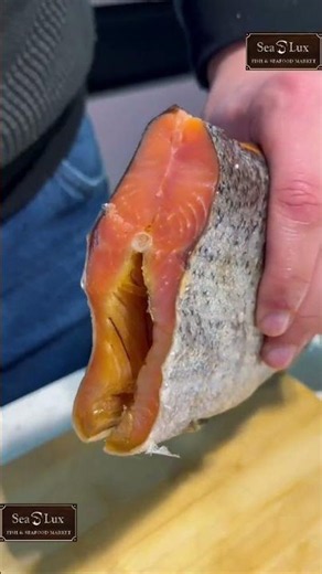 How to Salt Cure a Steelhead Trout 🐟