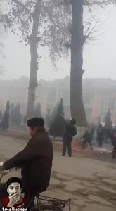 Tree Crashed Onto Cyclist