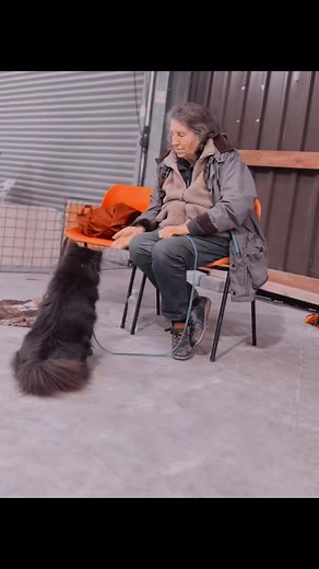 Hunt & Retrieve Workshop What a brilliant morning! We started some motivational play, worked on chin-rest, fun retrieves, talked about pre-motor sequence and finished with some fun scent games. So many different breeds, so much enthusiasm, and lots of waggy tails all round. Amazing dogs, lovely handlers, and a cracking atmosphere, thank you all for making it such a joy to run. 🐾 Keep an eye out… we’ll be running another workshop in the New Year. #ClickStart #CarmarthenDogTrainers #HuntAndRetrie