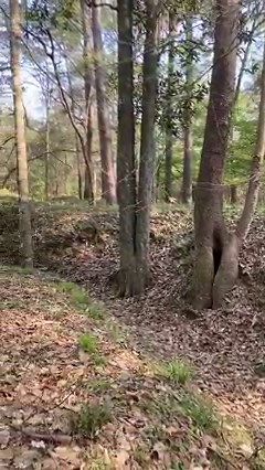 Join Garry Adelman, Chief Historian at the American Battlefield Trust, as he explores a redoubt that Alabama and Arkansas troops occupied during the Battle of Port Hudson in 1863. | American Battlefield Trust