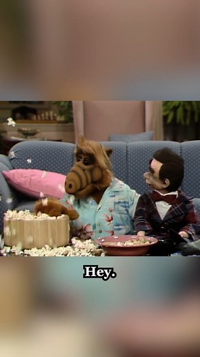 How do you get the real ALF back? Make a mess! #ALF #humor #sitcom | Alf