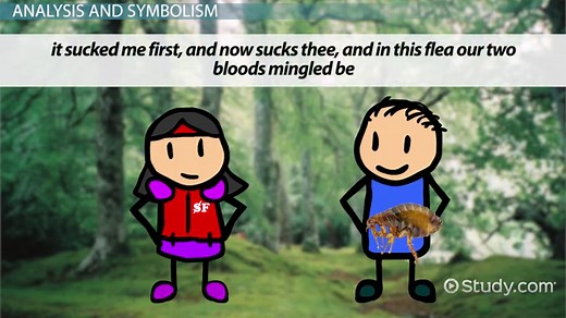 The Flea by John Donne | Summary, Meaning & Analysis