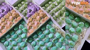 Cake Pop Cutter and Pusher with Tray - Circle Cake Pop Mold Set | Non-3D Printed | 1.75" Size | High-Capacity Dual-Cavity Cake Pop Tray | Smooth & Easy-Clean Surface (Cutter & Tray Set)