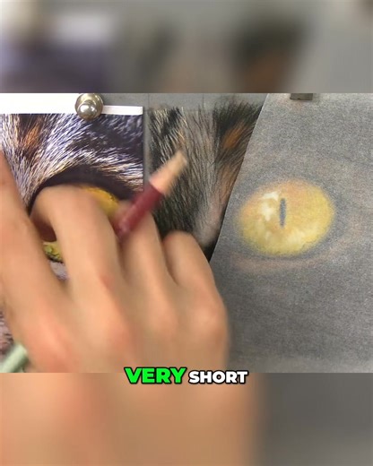 9.3K views · 179 reactions | Want to do free lessons like this - to actually learn to draw? Link in comment | Jason Morgan Wildlife Art | Facebook