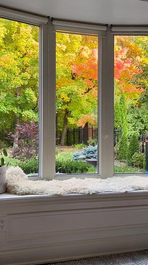 Soon all these leaves will fall, it’ll be bare but when the snow falls it’s spectacular ✨ #serenemoments #fallcolours