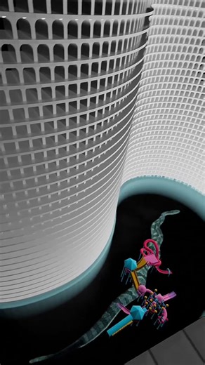 Lost in the white room p.3 🥺 #backrooms #dreamcore #poolrooms #creepy | poolrooms