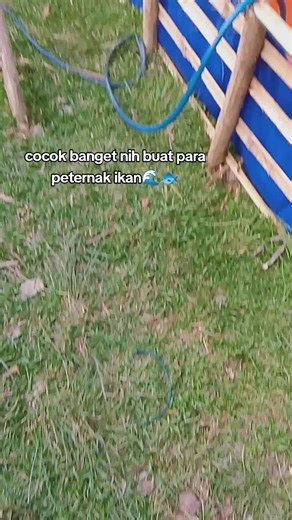 Tips for Successful Fish Farming Techniques