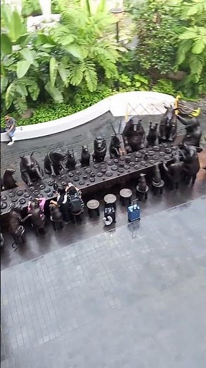 Qatar Airport Inside View ✈️ | Doha Hamad International Airport Tour 2025.