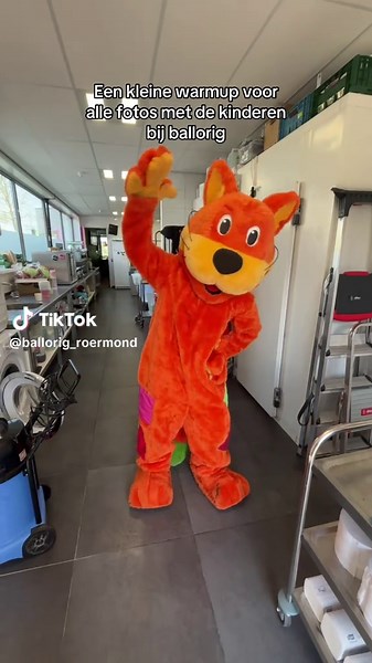 Een kleine workout!! #ballorig #fyp #foryoupage #solliciteren #vibes 🐱❤️