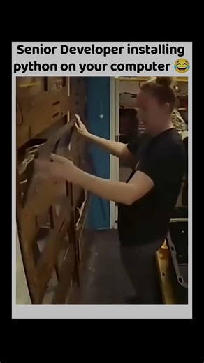 senior developer installing python in your system #CodingShorts #LearnToCode #shorts #youtubeshorts