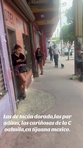 Las Cariñosas y Paraditas de Tijuana: Un Recorrido