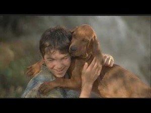 Where the Red Fern Grows