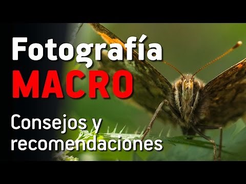 FOTOGRAFÍA MACRO - Consejos y Recomendaciones