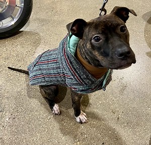 29 reactions | Customer of the day! | Harley-Davidson Winnipeg | Facebook