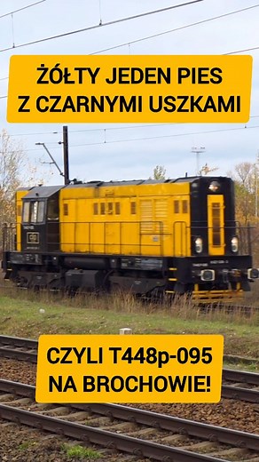ŻÓŁTO-CZARNY T448p-095, CZYLI "JEDEN PIES" CLIP INTERMODAL CONTAINER TERMINAL NA BROCHOWIE! CLIP Group Kolej z pasją | Kolej na Brochowie