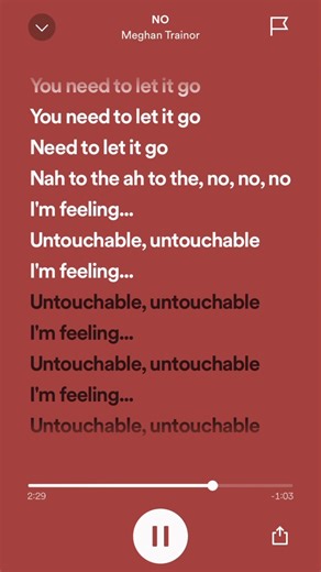 untouchable 🤭 #lyrics #lyricsvideo #spotify #fyp #foryoupage #pirate #tiktok #viral #explorepage