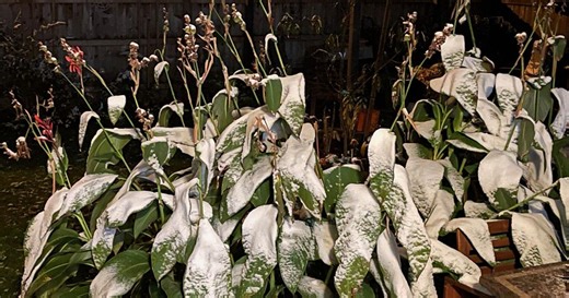 Fort Wayne winter: When to expect first measurable snowfall