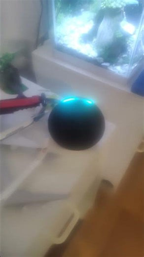 Alexa Set The Timer for 10 seconds #adamszabo #alexa