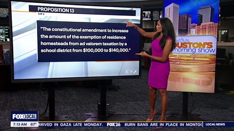Ballot Breakdown - Texas Proposition 11 and 13