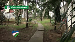 El barrio Santa Isabel 👼, hace 74 años era una gran Hacienda de la familia inglesa Gualtero Symonds, barrio que se hizo en honor a la aviación colombiana 🧑‍✈️👩‍✈️y es abrazado por un icónico monumento del águila 🦅. Y tú, ¿conoces la historia de tu barrio 🤔? 💙❤️💚 | Alcaldía de Cali