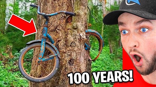 The quiet power of time caught on camera