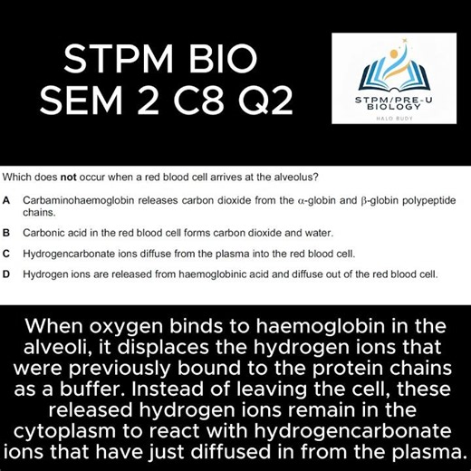 F6 BIOLOGY SEM 2 CHP 8 Q2 #stpmbiology #stpm ##biology #education #science #form6 #alevelbiology